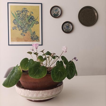 Fossolapietra26 Appartement Castel Di Sangro Buitenkant foto